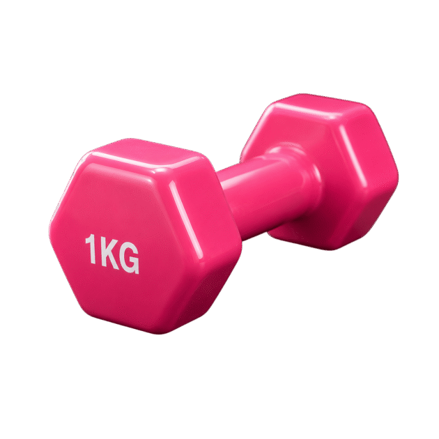 dumbbell (أثقال) bon prix avec livraison 69 wilaya algerie